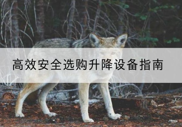 抚松升降货梯厂家推荐-*安全选购升降设备指南