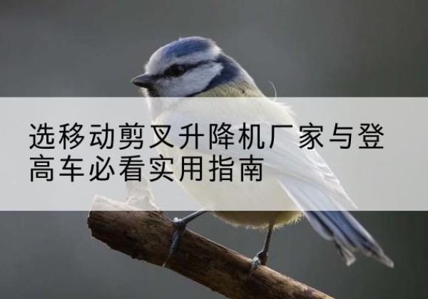 抚松电动升降机厂家-选移动剪叉升降机厂家与登高车必看实用指南
